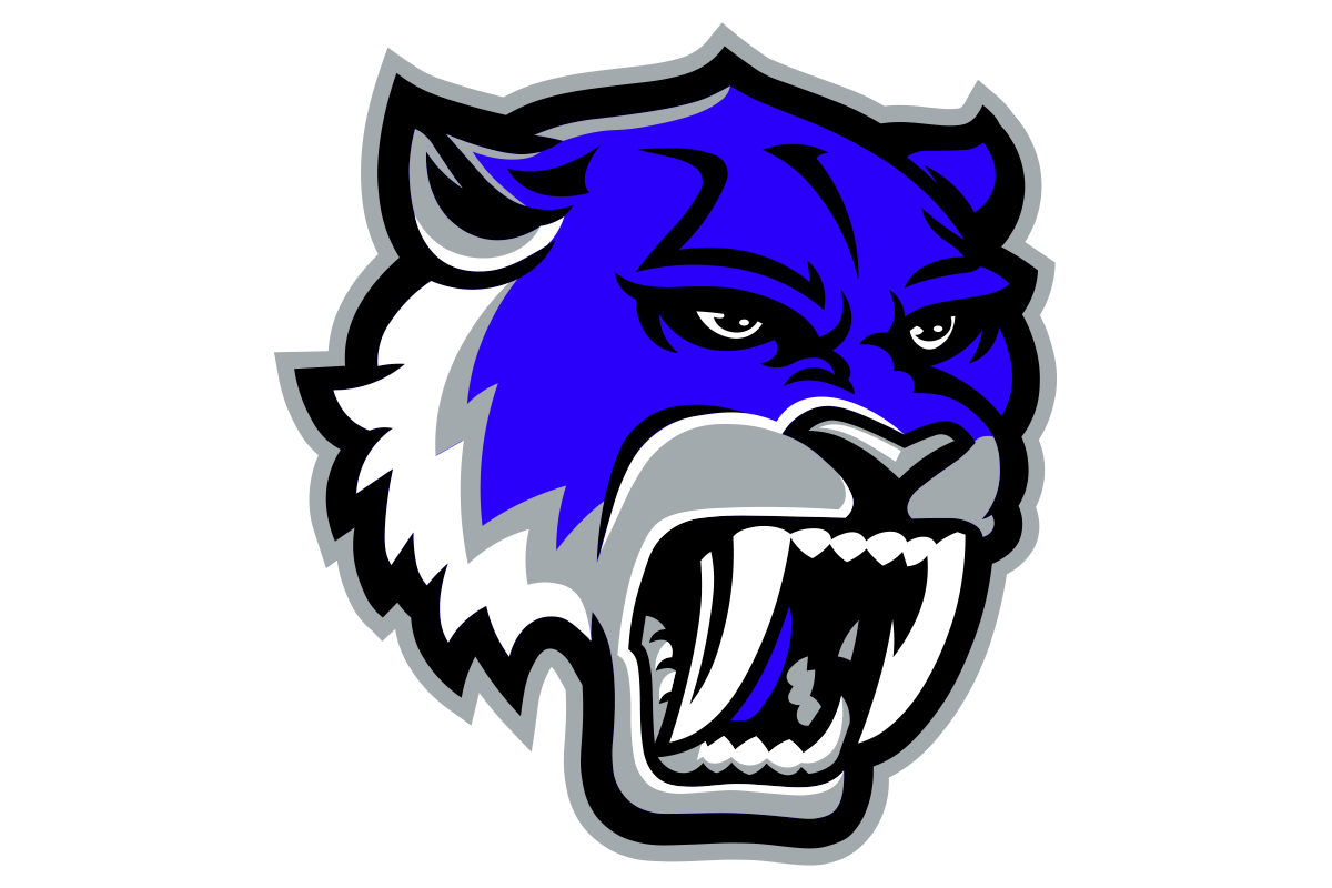 Edinburg Vela logo